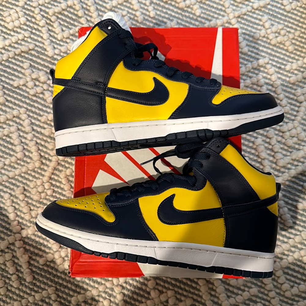Nike Dunk Hi SP